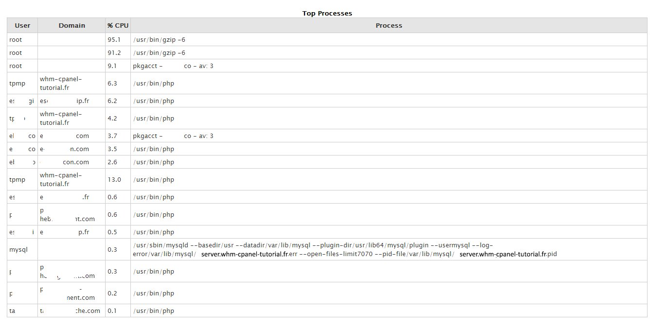 Daily Process Log Daily Process Log